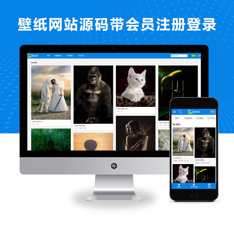 电脑手机壁纸网站演示（带会员功能）